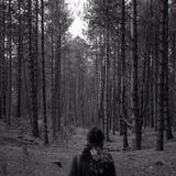 Eine Frau, die einen Waldweg mit ihr zurück zu der Kamera betrachtet stockfotografie Eine Frau, die einen Waldweg mit ihr zurück zu der Kamera betrachtet stockfotografie