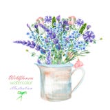 Eine Illustration mit einem Blumenstrauß der schönen blauen Myosotisblume, der Kornblumen und der Lavendelblumen in einem rustika vektor abbildung Eine Illustration mit einem Blumenstrauß der schönen blauen Myosotisblume, der Kornblumen und der Lavendelblumen in einem rustika vektor abbildung