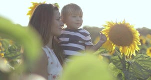 Eine junge Mutter und ein Sohn berühren eine Sonnenblume auf einem großen Feld stock footage Eine junge Mutter und ein Sohn berühren eine Sonnenblume auf einem großen Feld stock footage