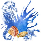 Eine Nahaufnahme einer Ansammlung Seashells stock abbildung Eine Nahaufnahme einer Ansammlung Seashells stock abbildung