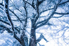 Eine schneebedeckte Ansicht xiling Schnee muntain stockfotos Eine schneebedeckte Ansicht xiling Schnee muntain stockfotos