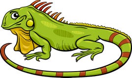 Ejemplo animal de la historieta de la iguana Ejemplo animal de la historieta de la iguana