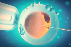 ejemplo 3D de la inseminación artificial o de la fertilización in vitro de una célula de huevo, huevo o zygote, concepto, científ Foto de archivo libre de regalías ejemplo 3D de la inseminación artificial o de la fertilización in vitro de una célula de huevo, huevo o zygote, concepto, científ Foto de archivo libre de regalías