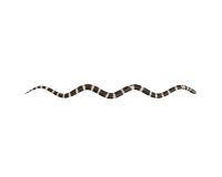 ejemplo 3D de un rey Snake de California stock de ilustración ejemplo 3D de un rey Snake de California stock de ilustración