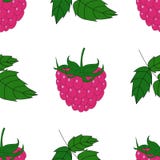 Ejemplo del modelo con la frambuesa ilustración del vector Ejemplo del modelo con la frambuesa ilustración del vector