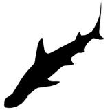 Ejemplo del vector EPS de los tiburones por los crafteroks stock de ilustración Ejemplo del vector EPS de los tiburones por los crafteroks stock de ilustración
