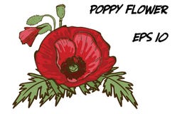 Ejemplo a mano de la flor roja de la amapola aislada en el fondo blanco Un brote grande con las hojas verdes Elementos florales b Fotografía de archivo Ejemplo a mano de la flor roja de la amapola aislada en el fondo blanco Un brote grande con las hojas verdes Elementos florales b Fotografía de archivo