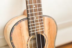 Ekskluzywny ukulele z woodgrain konem fotografia royalty free Ekskluzywny ukulele z woodgrain konem fotografia royalty free