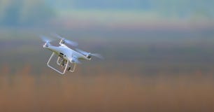 El abejón blanco está volando en velocidad completa fotografía de archivo libre de regalías El abejón blanco está volando en velocidad completa fotografía de archivo libre de regalías