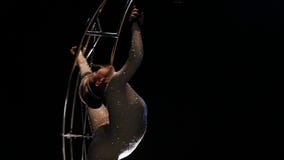 El acróbata a gira en una estructura del metal en una secuencia vertical Fondo negro Cámara lenta metrajes El acróbata a gira en una estructura del metal en una secuencia vertical Fondo negro Cámara lenta metrajes