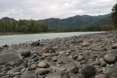 El banco pedregoso del río Foto de archivo libre de regalías El banco pedregoso del río Foto de archivo libre de regalías