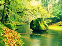 El banco pedregoso del río de la montaña del otoño cubierto por la haya anaranjada se va Cantos rodados grandes cubiertos de musg Fotos de archivo El banco pedregoso del río de la montaña del otoño cubierto por la haya anaranjada se va Cantos rodados grandes cubiertos de musg Fotos de archivo
