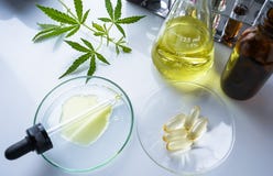 El c??amo, marijuana, aceite de c??amo es una medicina imagenes de archivo El c??amo, marijuana, aceite de c??amo es una medicina imagenes de archivo