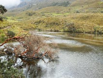 El cajas national park. Cuenca, Ecuador stock photos El cajas national park. Cuenca, Ecuador stock photos