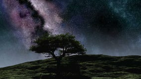 El cielo nocturno púrpura del lapso de tiempo protagoniza sobre la colina con el árbol libre illustration El cielo nocturno púrpura del lapso de tiempo protagoniza sobre la colina con el árbol libre illustration