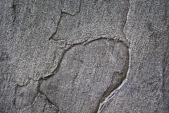 El cierre sucio de la imagen de la textura de la superficie del piso para arriba fotografía de archivo libre de regalías El cierre sucio de la imagen de la textura de la superficie del piso para arriba fotografía de archivo libre de regalías