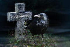 El cuervo y la piedra cruzan en el cementerio en la noche, Halloween imágenes de archivo libres de regalías El cuervo y la piedra cruzan en el cementerio en la noche, Halloween imágenes de archivo libres de regalías