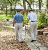 El dar un paseo en el jardín El dar un paseo en el jardín