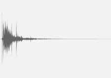 El dispositivo conecta la alarma 1 efecto stock sonido El dispositivo conecta la alarma 1 efecto stock sonido