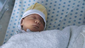 El dormir recién nacido del bebé El dormir recién nacido del bebé