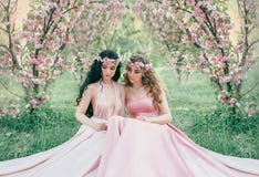 El duende imponente dos se está sentando en el jardín fabuloso de la flor de cerezo Princesas en lujoso, vestidos del rosa Blonde fotos de archivo El duende imponente dos se está sentando en el jardín fabuloso de la flor de cerezo Princesas en lujoso, vestidos del rosa Blonde fotos de archivo