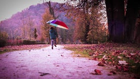 El feliz niño pequeño salta con el paraguas de varios colores en parque del otoño almacen de video El feliz niño pequeño salta con el paraguas de varios colores en parque del otoño almacen de video