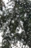 El fondo de la naturaleza a través de la lluvia cae en superficie de cristal clara fotos de archivo El fondo de la naturaleza a través de la lluvia cae en superficie de cristal clara fotos de archivo