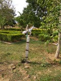 El Gordan verde es lugar muy importante y hermoso imágenes de archivo libres de regalías El Gordan verde es lugar muy importante y hermoso imágenes de archivo libres de regalías