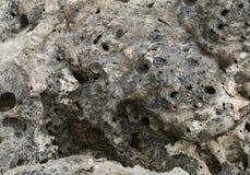 El gris de piedra resistido desigual con los cráteres agujerea la geología cortada del fondo del mar del agua foto de archivo libre de regalías El gris de piedra resistido desigual con los cráteres agujerea la geología cortada del fondo del mar del agua foto de archivo libre de regalías