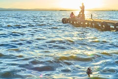 El grupo de amigos comtempla la puesta del sol que se sienta en el embarcadero del Albufera de Valencia foto de archivo libre de regalías El grupo de amigos comtempla la puesta del sol que se sienta en el embarcadero del Albufera de Valencia foto de archivo libre de regalías