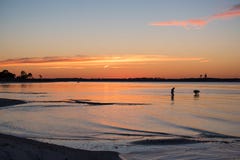 El hombre y la mujer románticos siluetean la recogida de cáscara en la playa en la puesta del sol Foto de archivo El hombre y la mujer románticos siluetean la recogida de cáscara en la playa en la puesta del sol Foto de archivo