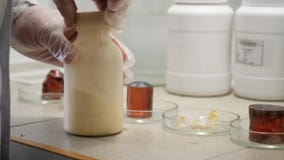 El investigador se prepara para conducir el experimento qu?mico en laboratorio El primer del t?cnico de laboratorio en guantes ab almacen de video El investigador se prepara para conducir el experimento qu?mico en laboratorio El primer del t?cnico de laboratorio en guantes ab almacen de video