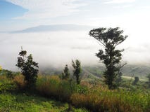 El invierno deja la niebla imagenes de archivo El invierno deja la niebla imagenes de archivo