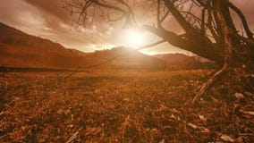 El lapso de tiempo del árbol de la muerte y seca la hierba amarilla en el paisaje mountian con las nubes y los rayos del sol Movi El lapso de tiempo del árbol de la muerte y seca la hierba amarilla en el paisaje mountian con las nubes y los rayos del sol Movi