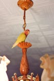 El loro amarillo es un solitario en una lámpara fotografía de archivo El loro amarillo es un solitario en una lámpara fotografía de archivo