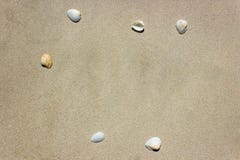 El mar Shell con la arena en la playa es el fondo Copie el espacio fotografía de archivo El mar Shell con la arena en la playa es el fondo Copie el espacio fotografía de archivo