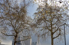 El milenio rueda adentro Londres durante la primavera foto de archivo El milenio rueda adentro Londres durante la primavera foto de archivo