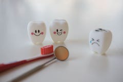 El modelo juega los dientes en odontología en un fondo blanco imagen de archivo libre de regalías El modelo juega los dientes en odontología en un fondo blanco imagen de archivo libre de regalías