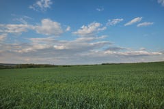 El movimiento de las nubes tormentosas sobre los campos del whea del invierno Foto de archivo El movimiento de las nubes tormentosas sobre los campos del whea del invierno Foto de archivo