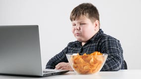 El muchacho gordo joven come microprocesadores y e historietas de observación en fps de un ordenador portátil 50 El muchacho gordo joven come microprocesadores y e historietas de observación en fps de un ordenador portátil 50