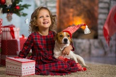El niño de la muchacha celebra la Navidad con el perro Jack Russell Terrier en fotos de archivo El niño de la muchacha celebra la Navidad con el perro Jack Russell Terrier en fotos de archivo