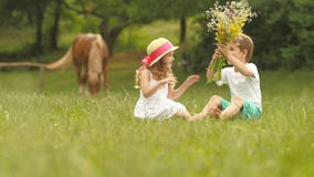 El niño pequeño da un ramo de flores salvajes a una muchacha Cámara lenta metrajes El niño pequeño da un ramo de flores salvajes a una muchacha Cámara lenta metrajes