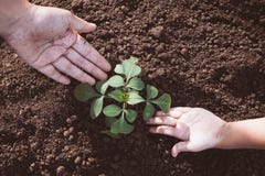 El niño y el padre dan el establecimiento del árbol joven en suelo negro juntos fotografía de archivo libre de regalías El niño y el padre dan el establecimiento del árbol joven en suelo negro juntos fotografía de archivo libre de regalías