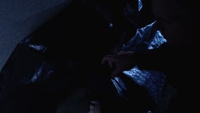 El oficial de policía que relampaga la bolsa para transportar cadáveres con la señora joven muerta en escena del crimen en la noc metrajes El oficial de policía que relampaga la bolsa para transportar cadáveres con la señora joven muerta en escena del crimen en la noc metrajes