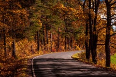 El otoño del canal del camino coloreó el bosque imagen de archivo libre de regalías El otoño del canal del camino coloreó el bosque imagen de archivo libre de regalías