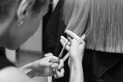 El peluquero corta el pelo de un cliente en el primer del salón de belleza imagen de archivo El peluquero corta el pelo de un cliente en el primer del salón de belleza imagen de archivo