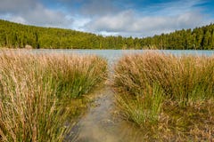 El pequeño lago llamó a Sao Bras Rodeado por el bosque verde, localizado fotografía de archivo libre de regalías El pequeño lago llamó a Sao Bras Rodeado por el bosque verde, localizado fotografía de archivo libre de regalías