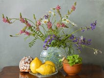 El prado florece en un florero, una cáscara, limones e hierbas fotos de archivo libres de regalías El prado florece en un florero, una cáscara, limones e hierbas fotos de archivo libres de regalías