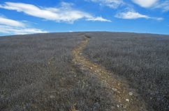 El rastro al top de la montaña Imágenes de archivo libres de regalías El rastro al top de la montaña Imágenes de archivo libres de regalías