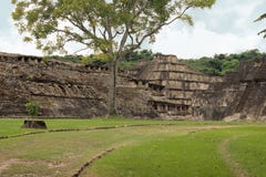El Tajin Archaeological Ruins, Veracruz, Mexico stock photos El Tajin Archaeological Ruins, Veracruz, Mexico stock photos